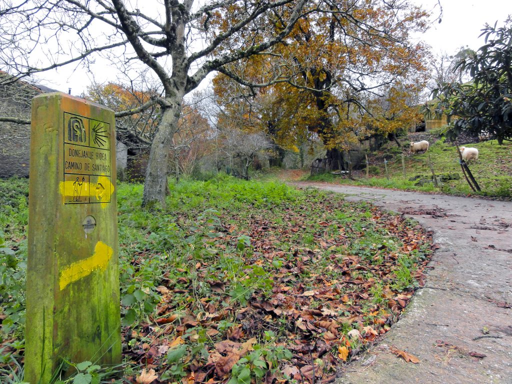 Irungo Olaberria. Camjno Jacobeo en Irún